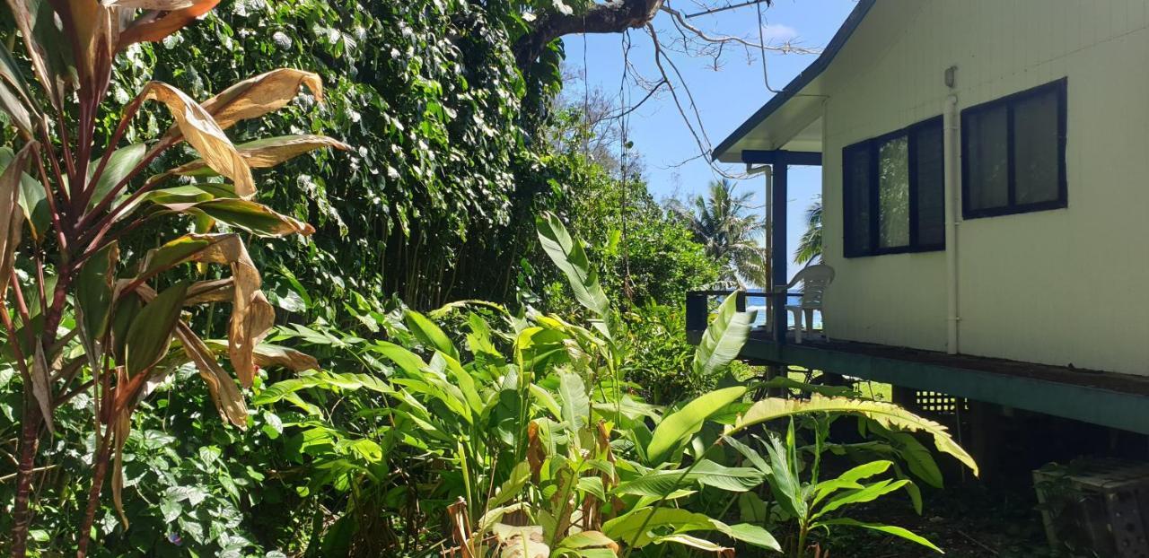 Are Tamareni 2Br Beach Cottage Or River Studio アバルア エクステリア 写真