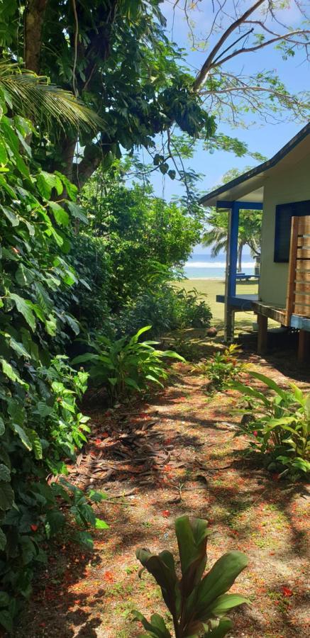 Are Tamareni 2Br Beach Cottage Or River Studio アバルア エクステリア 写真